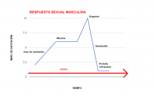 Respuesta Masculina
